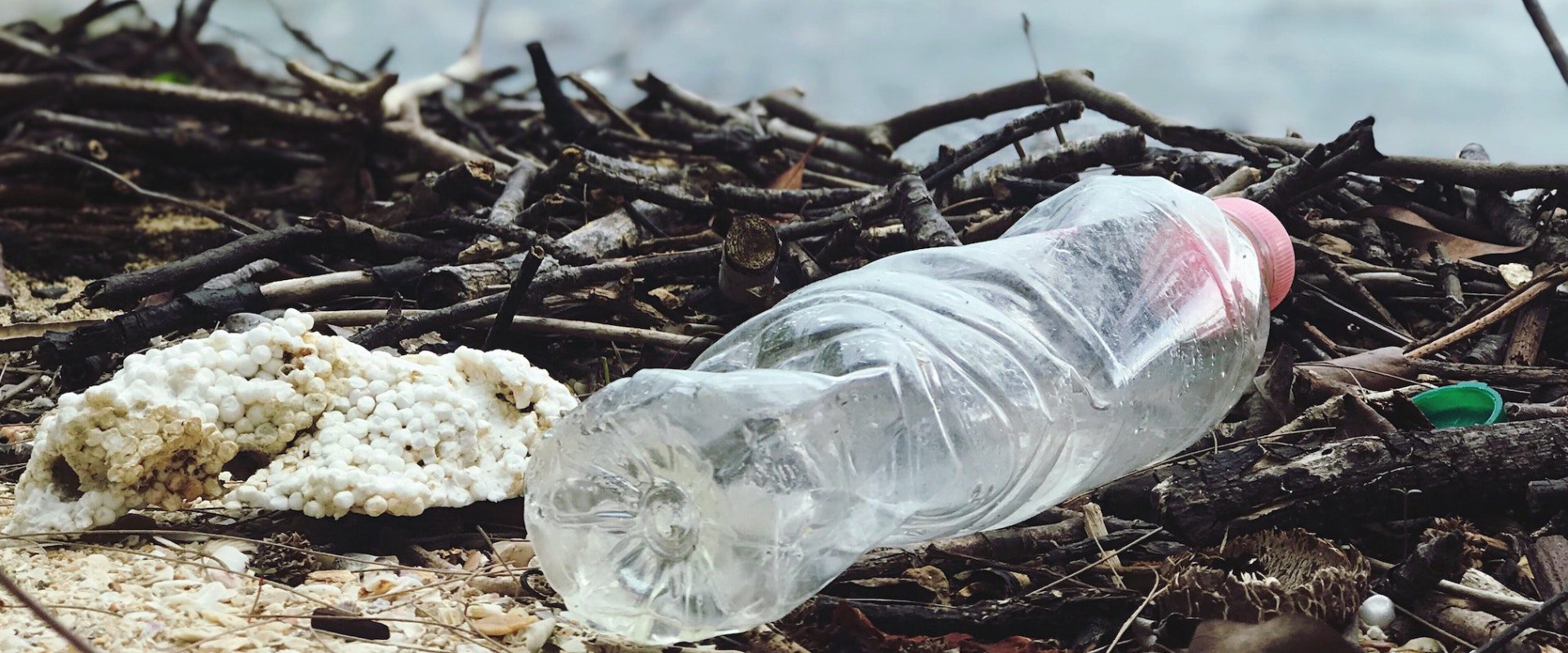 The Devastating Impact Of Bottled Water On The Environment: A ...